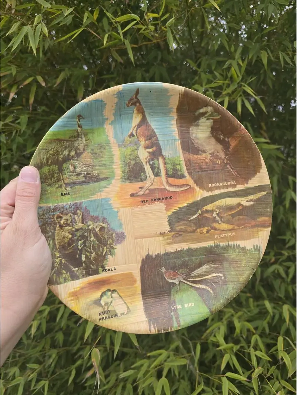 Vintage Australian Wildlife Bamboo Souvenir Plate Kangaroo Koala 11 Inch